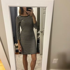 Express Striped Dress